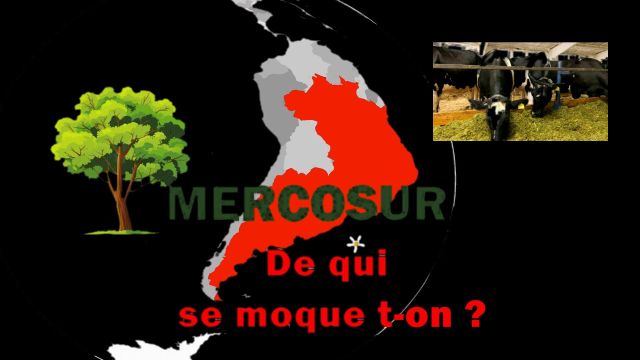 Mercosur : de qui se moque-t-on vraiment ?