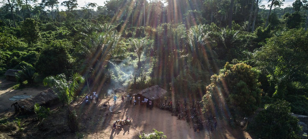 Un petit village autochtone, situé au plus profond de la forêt dans une région éloignée de la République du Congo.