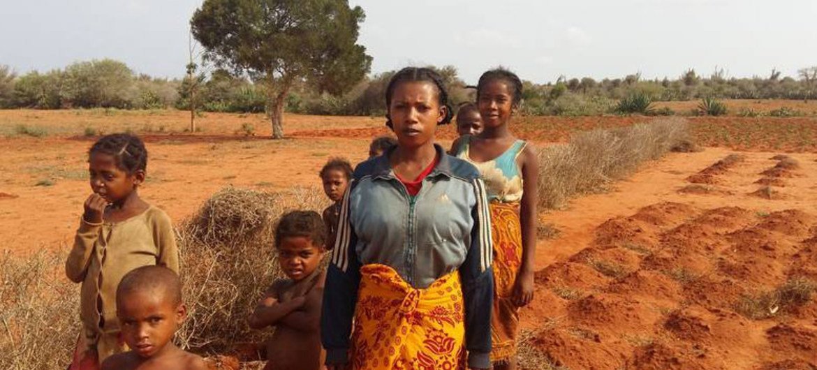 Le sud de Madagascar a été frappé par plusieurs sécheresses consécutives (archives).