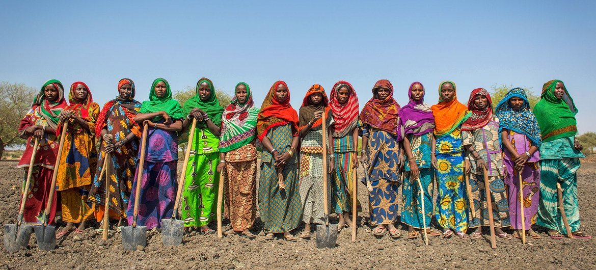 Au Tchad, les programmes d’aide alimentaire favorisent une agriculture durable et renforcent les revenus et les moyens de subsistance des populations de ce pays d'Afrique centrale.