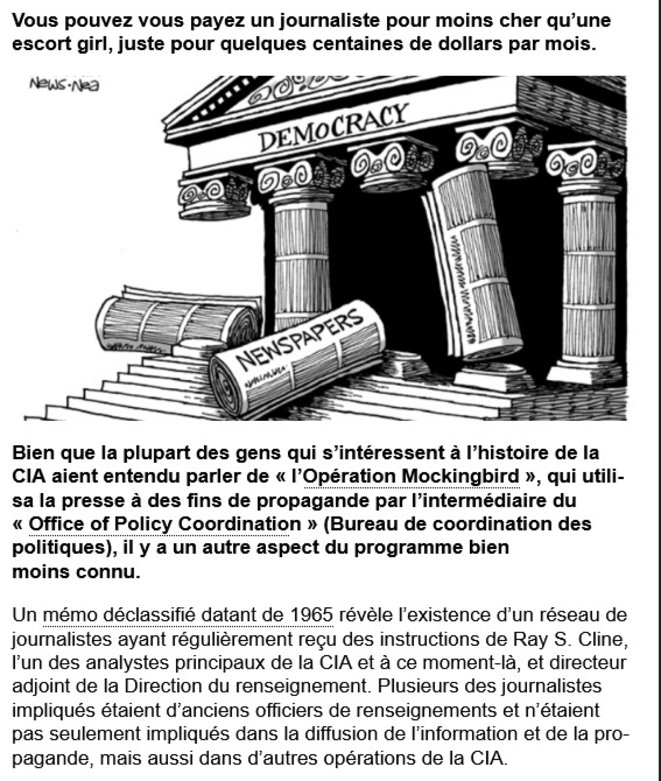 Capture écran Document declassifiés CIA et Journalistes © Site Media Action collective