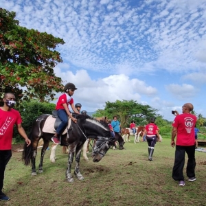 Ballade  Cheval Copie