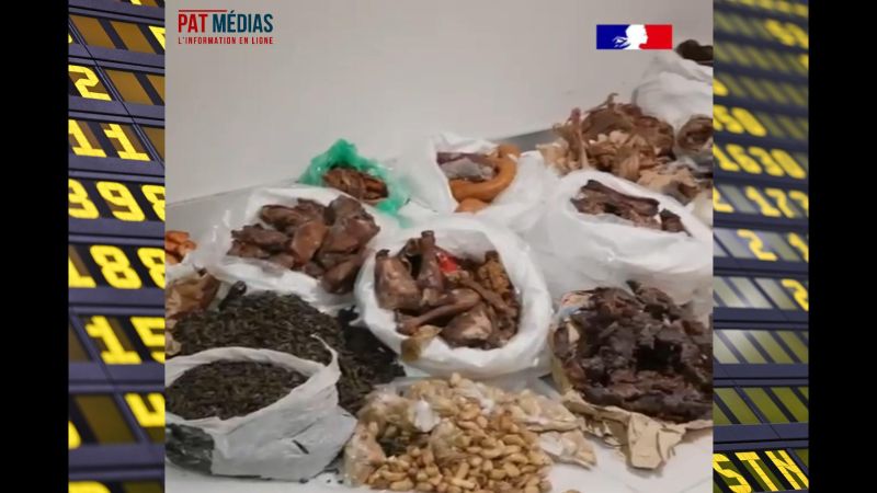 Aéroport de Roissy : l'afflux illégal de viande de brousse c'est chaque semaine
