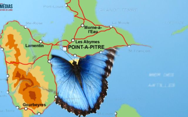 Escapade en Guadeloupe : Au menu ? Que de bonnes choses