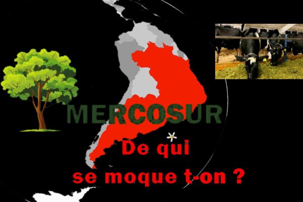 Mercosur : de qui se moque-t-on vraiment ?