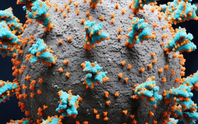 Hantavirus 2026&nbsp;: Le souvenir de la COVID encore présent