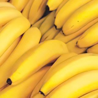 Chlordécone : un ami qui voulait du bien aux bananes antillaises