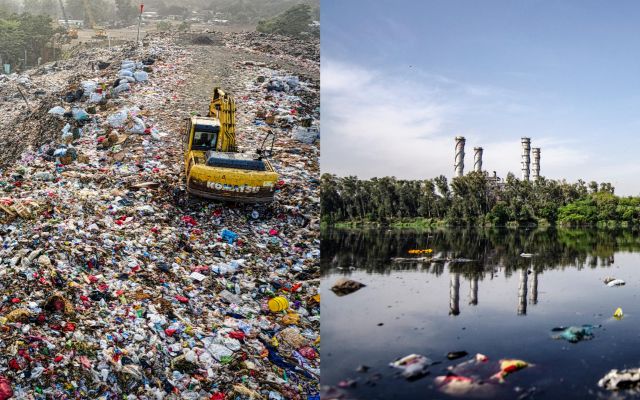 Une enzyme dévoreuse de plastique découverte par hasard
