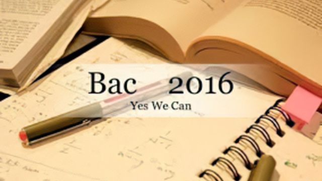 Bac 2016 : Ils l'ont eu.