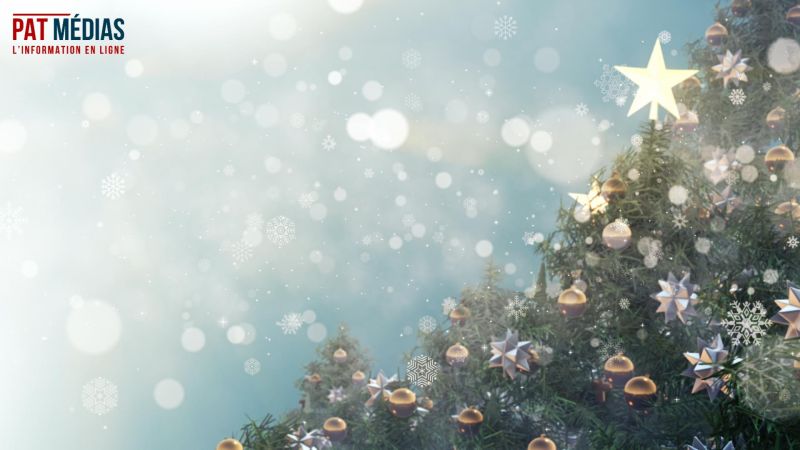 Le marché du sapin de Noël en France en cette fin 2025