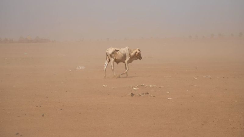 L’Afrique pâtit du changement climatique de manière disproportionnée