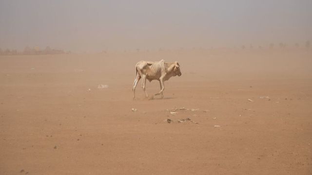 L’Afrique pâtit du changement climatique de manière disproportionnée