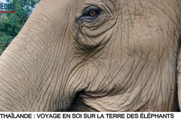 Thaïlande : Voyage en soi sur la terre des éléphants
