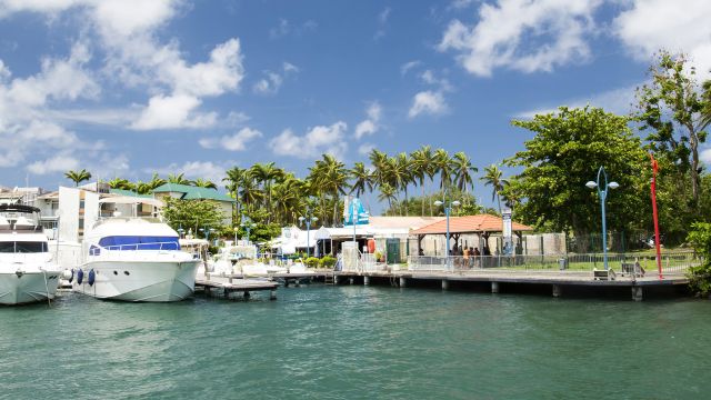 Confinement : Laurence, plaisancière en Martinique témoigne.