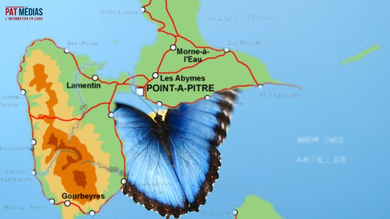 Escapade en Guadeloupe : Au menu ? Que de bonnes choses