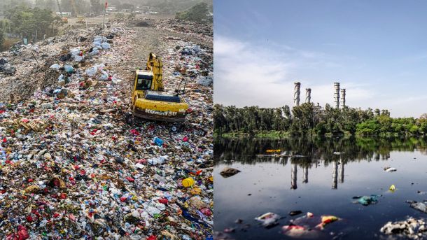 Une enzyme dévoreuse de plastique découverte par hasard