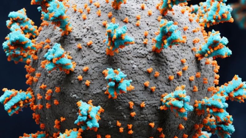 Hantavirus 2026 : Le souvenir de la COVID encore présent