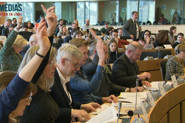 Gaz à effet de serre fluorés (gaz F): déclaration de Bas EICKHOUT (Verts/ALE, NL)
